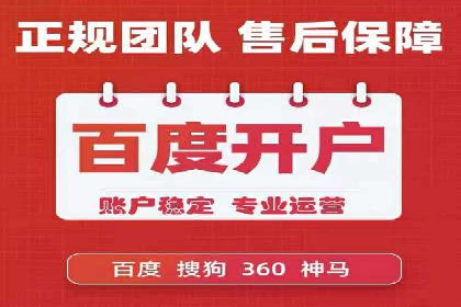 某公司通过百度竞价实现业务快速增长的案例